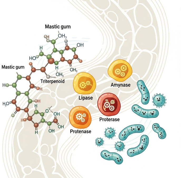 위 건강 영양제에 사용되는 다양한 성분들을 상징하는 분자 구조와 아이콘들이 섞여 있는 모습. 매스틱검, 효소, 유산균을 시각적으로 구분하여 보여준다.