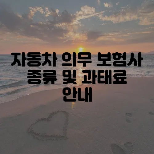 자동차 의무 보험사 종류 및 과태료 안내