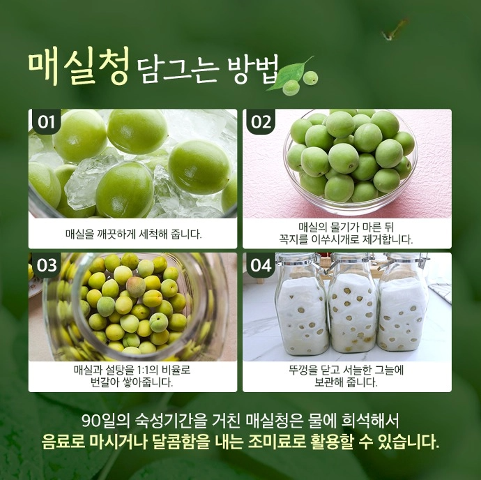매실 흑매실 효능 매실짱아찌 매실청 만드는법