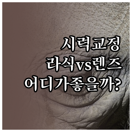 시력 교정 렌즈삽입술과 라식 중 나에..