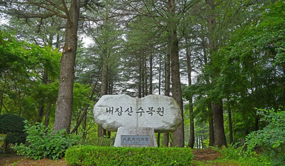 정읍 내장산 수목원 관람 가이드 ❘ 이용 정보·산책 코스·계절별 볼거리 총정리