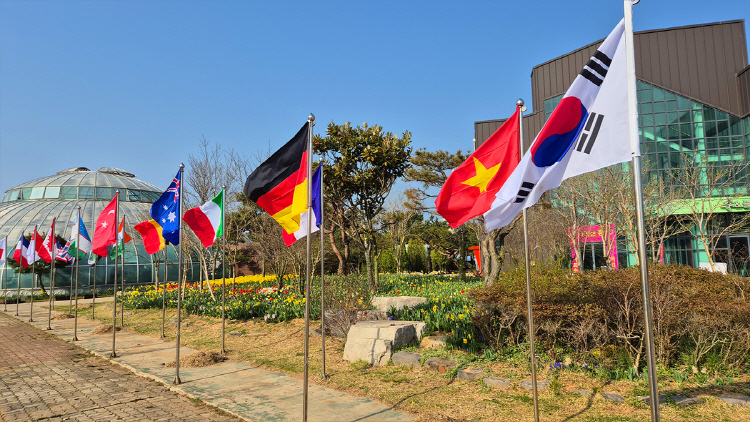 태안 튤립축제