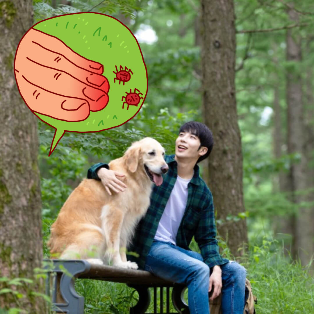 진드기에 위협을 받고 있는 강아지와 사람