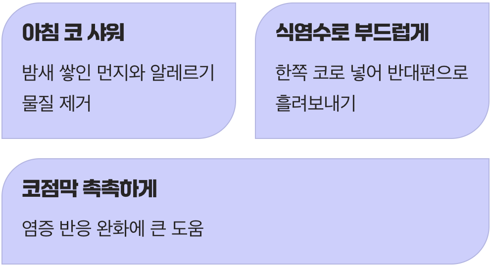 두 번째 루틴: 아침을 &lsquo;코 샤워&rsquo;로 시작하세요
