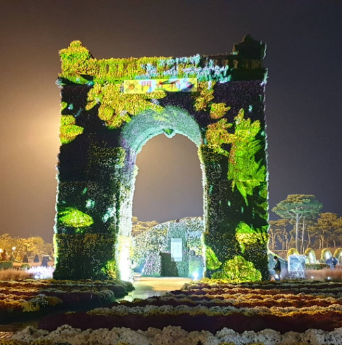 2023 함평나비축제