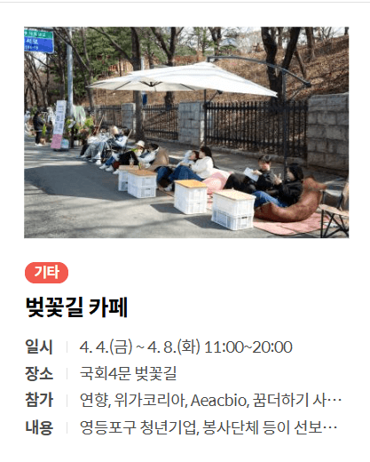 여의도 벚꽃 축제