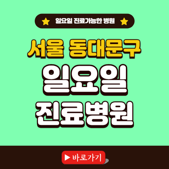 서울 동대문구 일요일 진료 가능한 병원 ❘ 주말 문여는 곳 총정리 (소아과, 내과, 안과, 치과, 피부과, 정형외과, 산부인과)