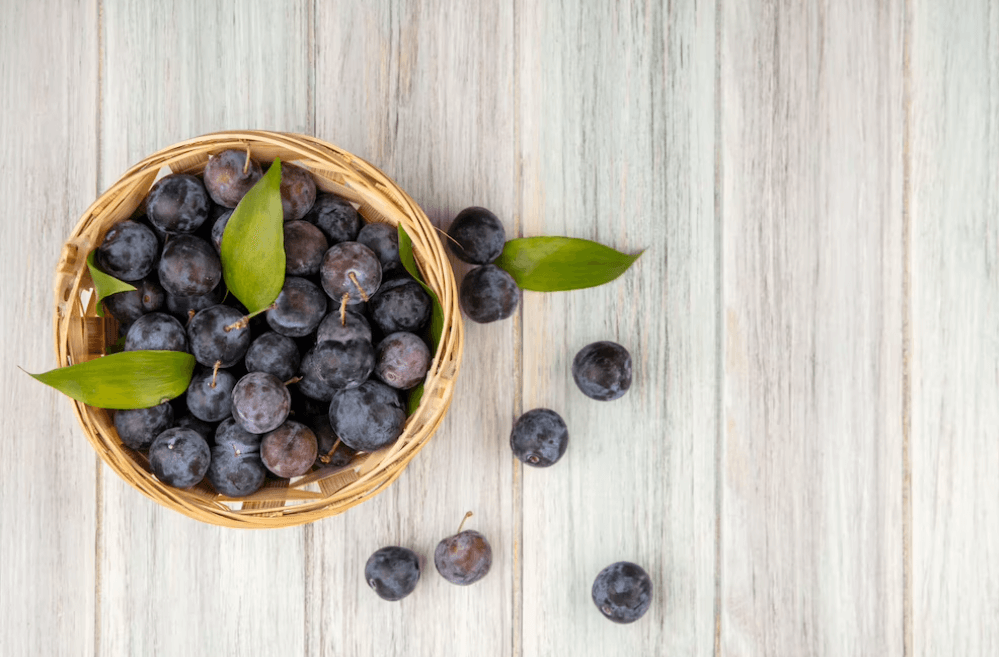 식이섬유- 풍부한-블루베리