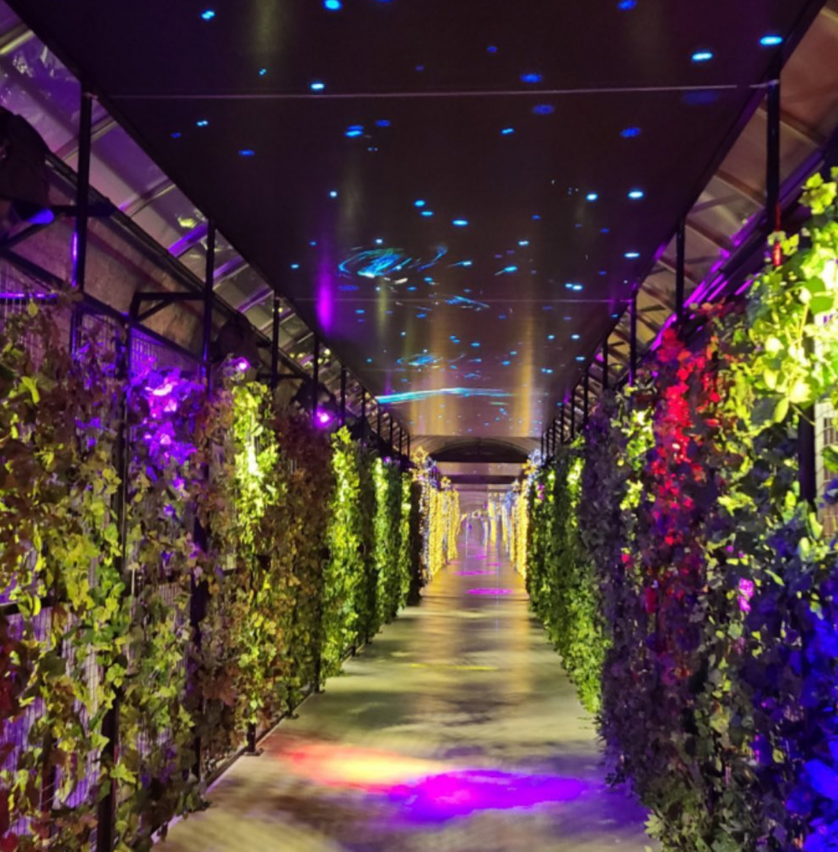 단양 여행 1박2일 코스