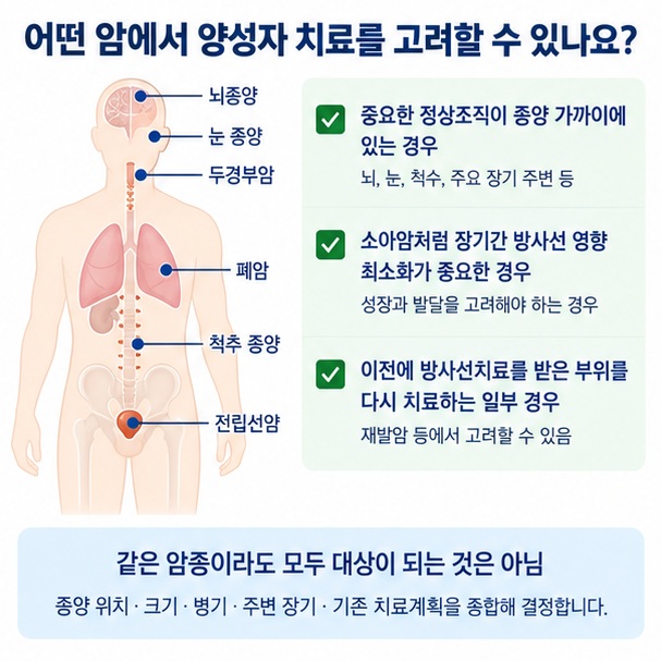 뇌 눈 두경부 척추 폐 전립선과 소아암 등 양성자 치료를 고려할 수 있는 부위를 보여주는 이미지
