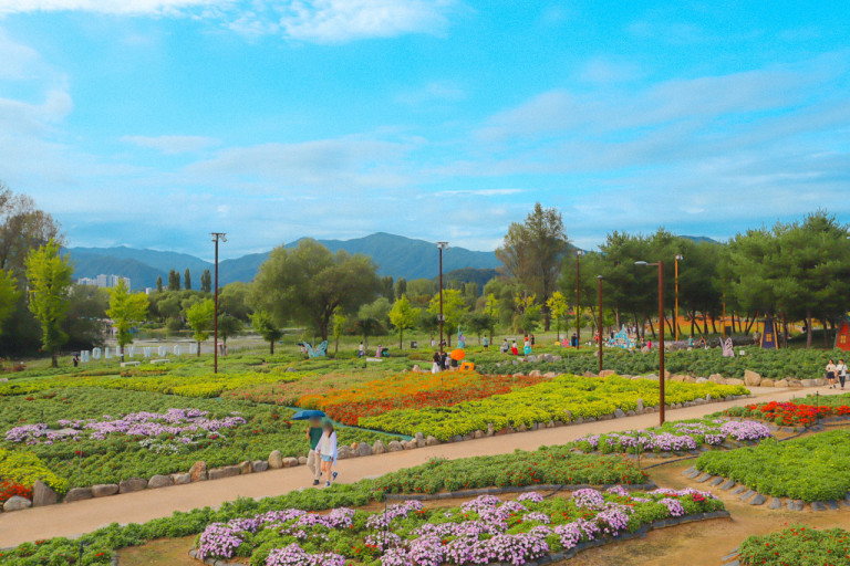 자라섬 꽃 페스타