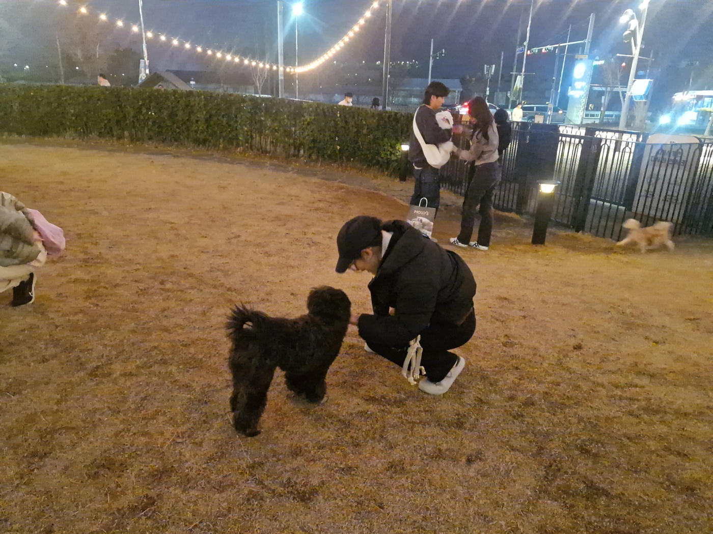 행복한 강아지 잠자는 위치별 심리 6가지