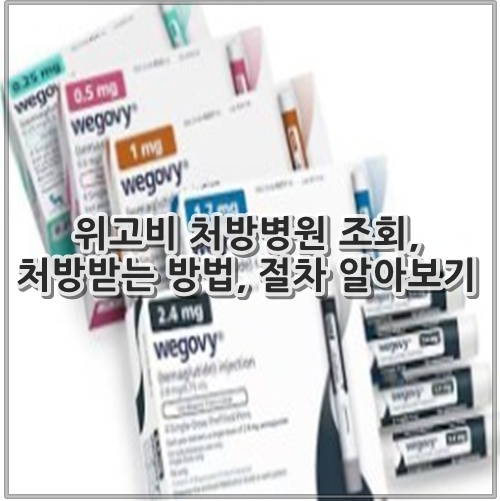 위고비 처방병원 조회, 처방받는 방법, 절차 알아보기