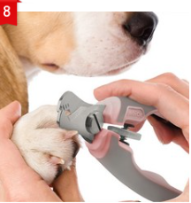 강아지 발톱깎이/출처:쿠팡