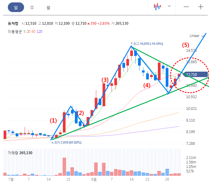 퓨쳐켐 일봉차트
