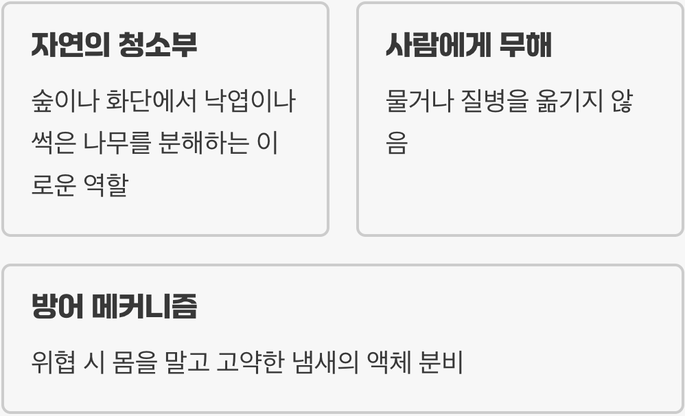 1. 이 벌레, 징그럽지만 해롭지는 않아요