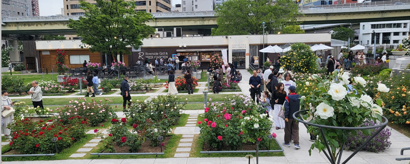 나카노시마 장미원