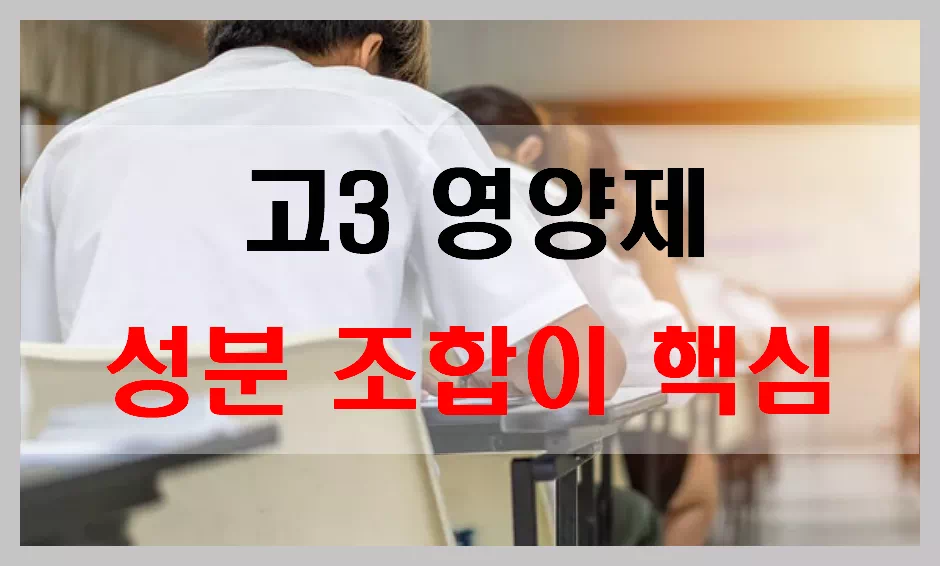고3영양제 성분조합