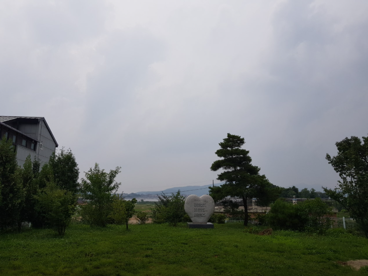 생방송투데이 전통육개장 맑은육개장 한우물의법칙 김포 대곶 약암육개장