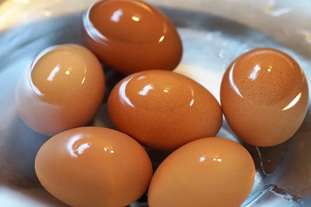 삶은 계란 보관법과 신선도 유지 비결_7