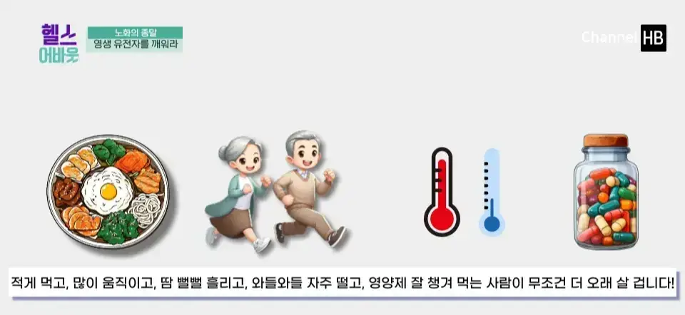 NMN이란