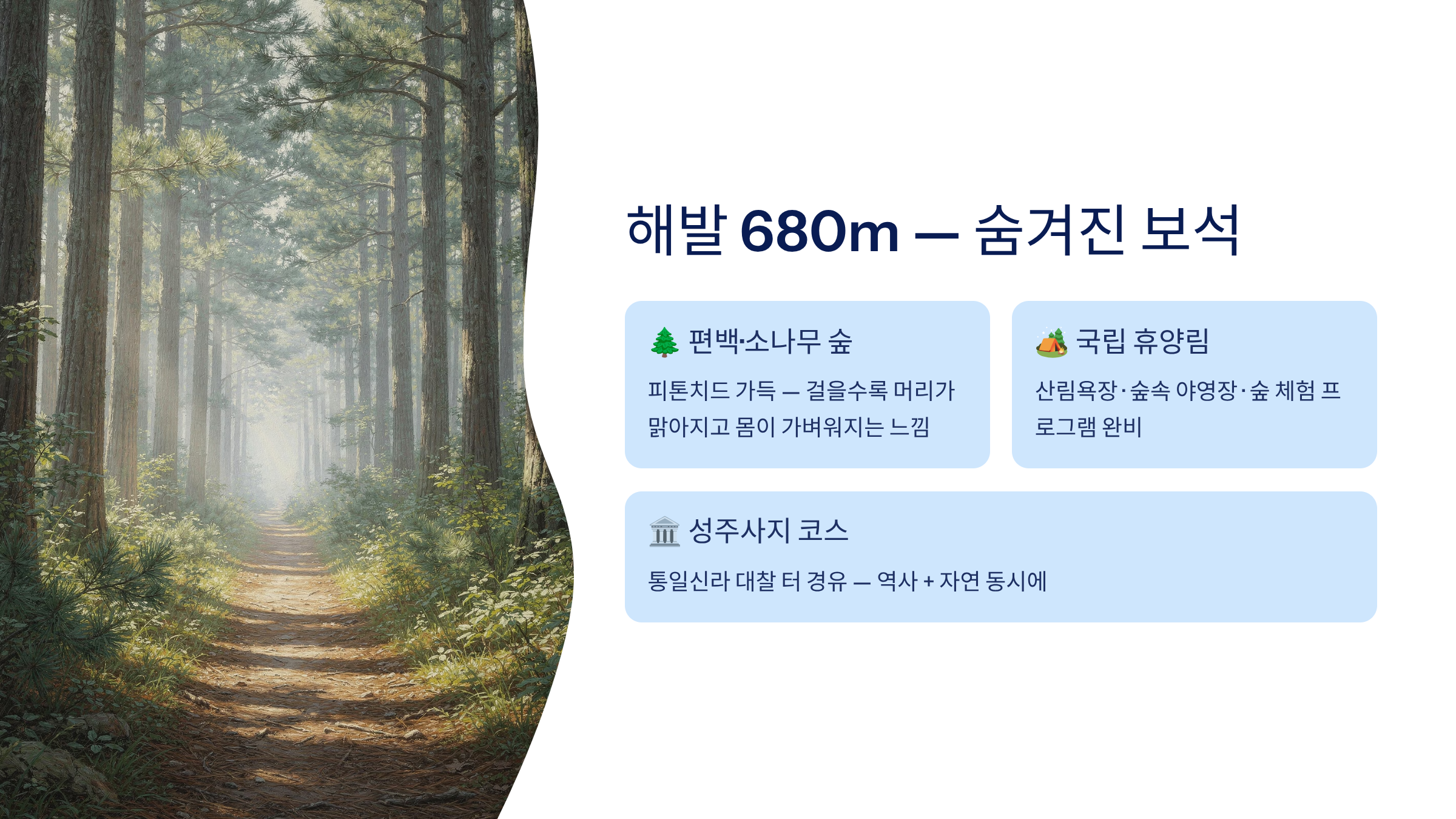 보령시 근교 산책&middot;달리기&middot;트레킹 명소 완벽 가이드 ❘ 머드축제 도시의 숨겨진 자연 액티비티