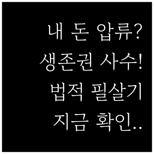 채무 압류 상황에서 소중한 생존권을 ..