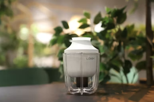 환기 방법 미세먼지 배출과 실내 공기 정화 가이드