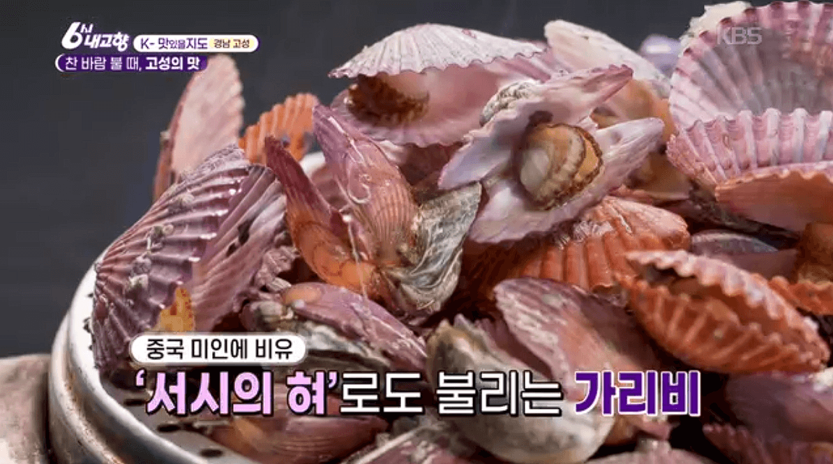 [6시내고향]경남 고성 제철 홍가리비 &amp;#39;계림새우나라&amp;#39; 예약 위치 연락처 정보