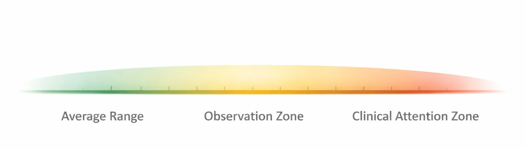 인지 점수에 따른 평균 범위, 관찰 구간, 임상적 주의 구간을 단계적으로 나타낸 도식