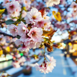 후쿠오카 계절별 추천 여행지