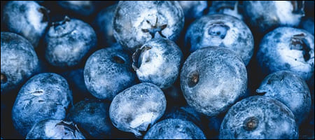 신선한 블루베리