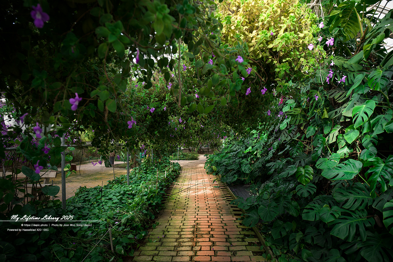 식물원 아산 세계꽃식물원 온실 꽃