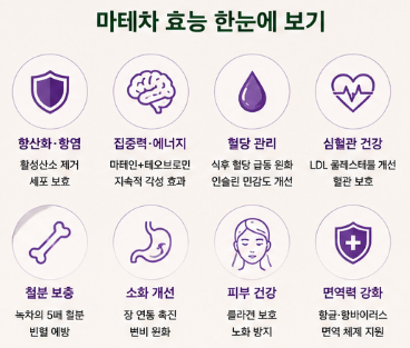 마테차-효능-다이어트-효과-카페인-부작용-추천-제품