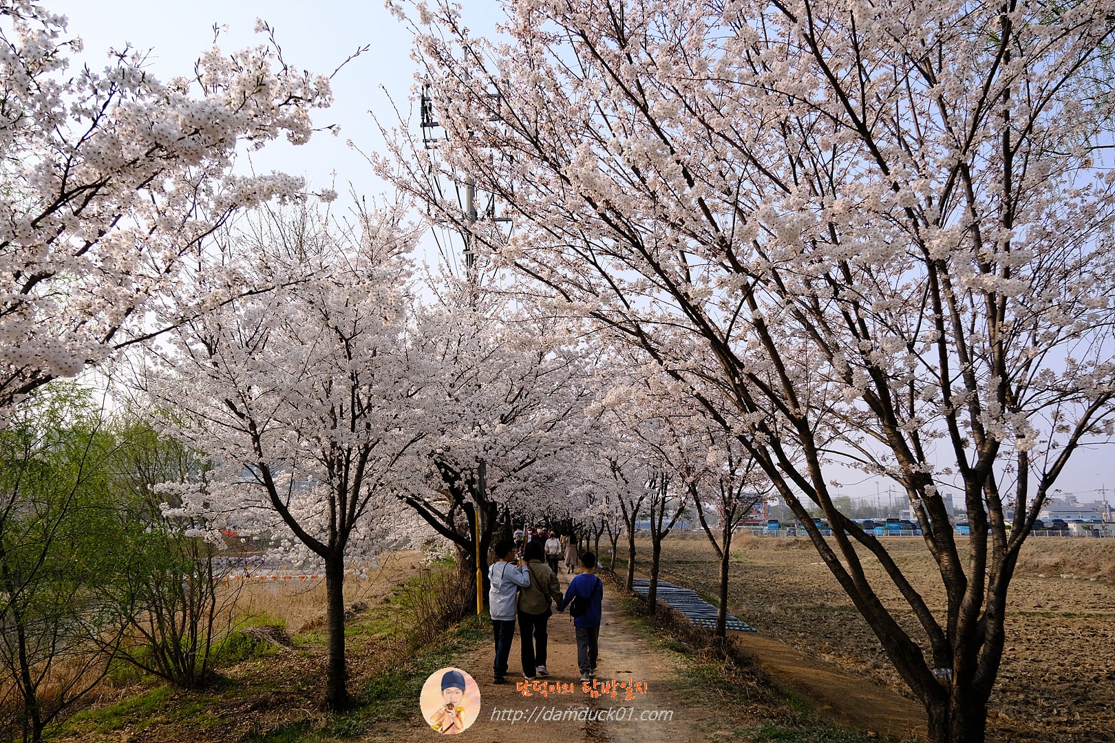 황구지천