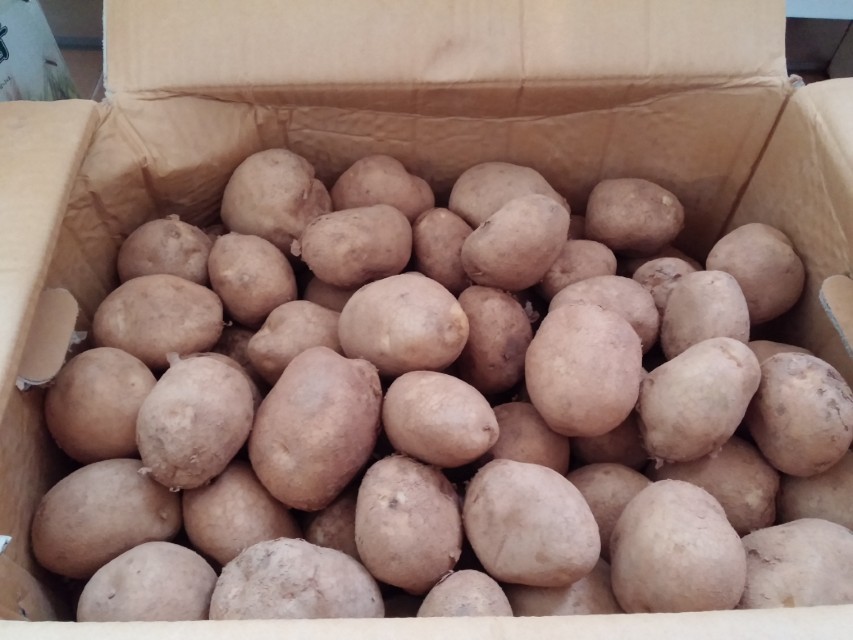 상자에 담아 보관 중인 감자