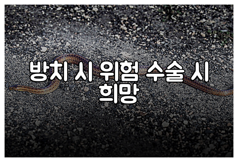 방치 시 위험 수술 시 희망