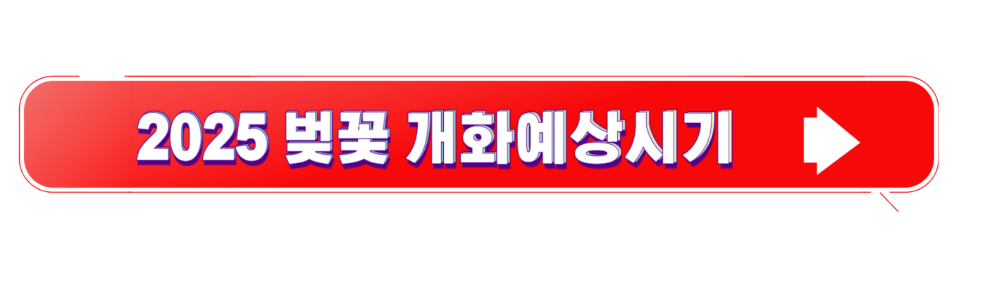 2025 벚꽃 개화 예상시기