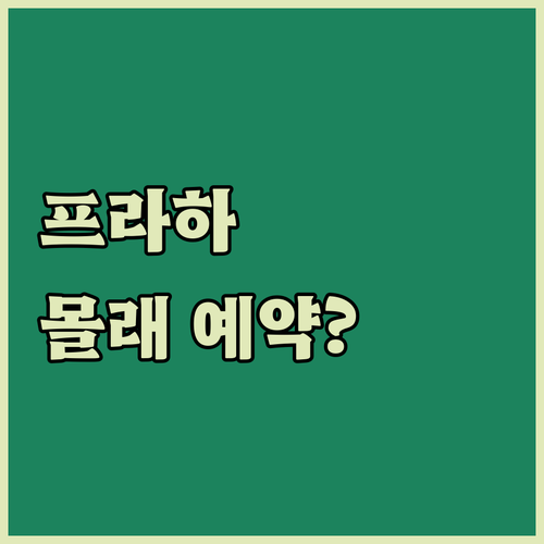 프라하 여행객이 몰래 예약하는 가성비..