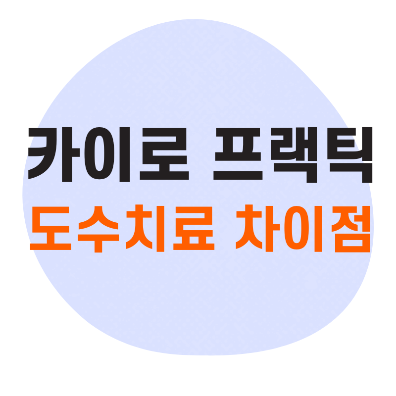 카이로 프랙틱