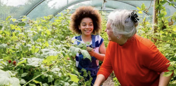 현지인 처럼 살아보기