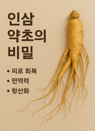 인삼 약초