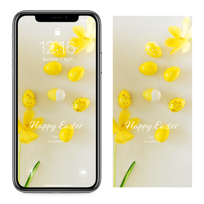 08 노란색 꽃과 계란 C - Happy Easter 부활절계란배경화면