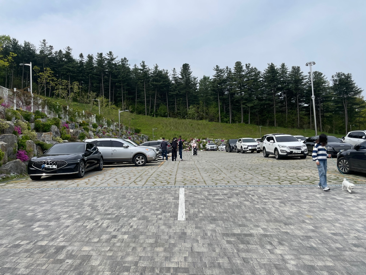 용인 자작나무숲 베툴라 대형 베이커피 카페