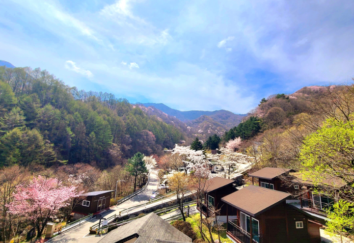 국립자연휴양림