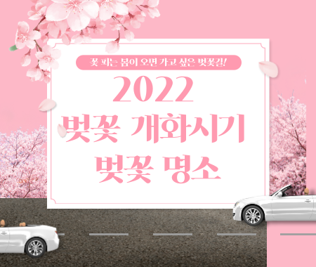 2022 벚꽃 개화시기와 벚꽃 명소