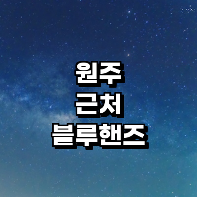 원주시 블루핸즈