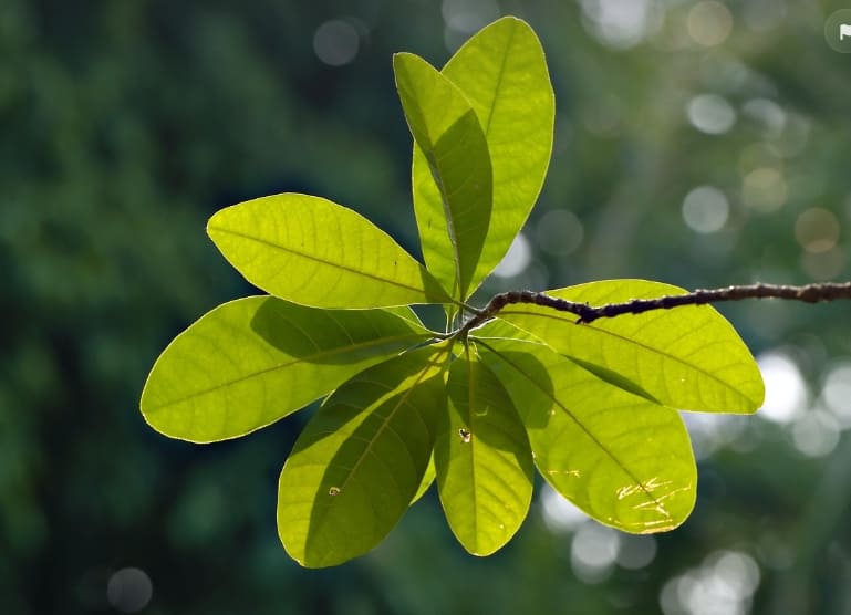 환절기 면역력을 높이는 생활 습관과 건강 관리법
