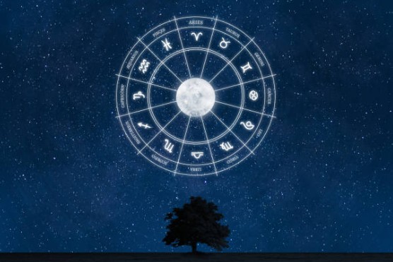 2026년 쥐띠 운세