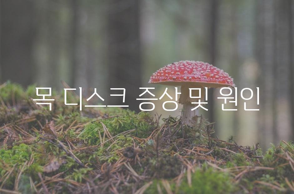 샘플 (42)